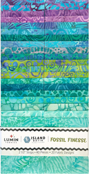 Fossil Finesse 2.5" Strip Roll