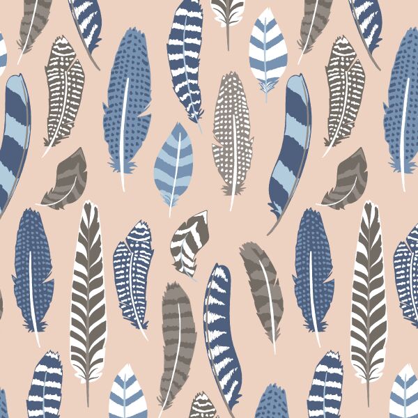 Feather Collective in Shell