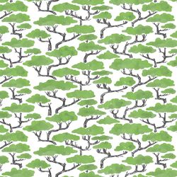 Canopy in Greenery