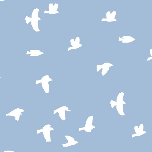 Flock Silhouette in Water