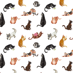 Cats in White