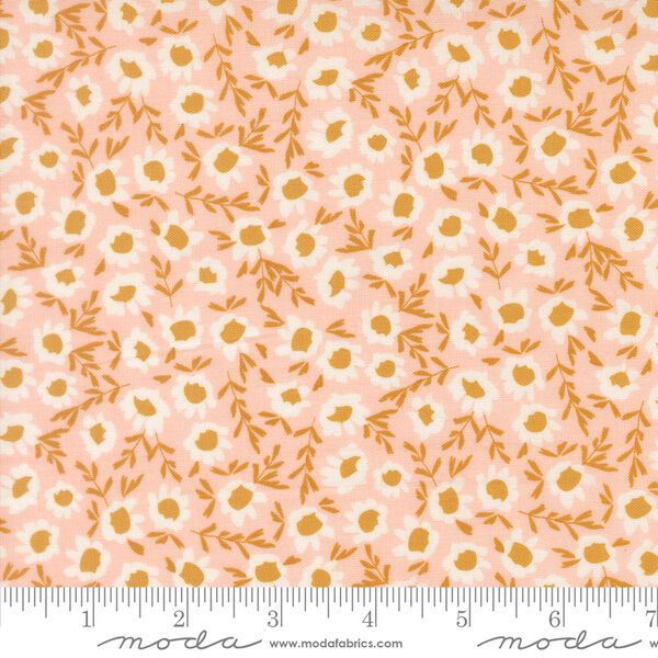 Blossoms in Blush