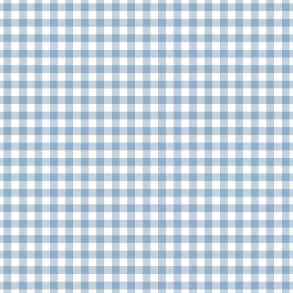 Western Gingham in Brook