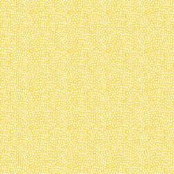 Texture in Sun