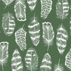 Plume in Kale
