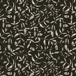 Vines in Black