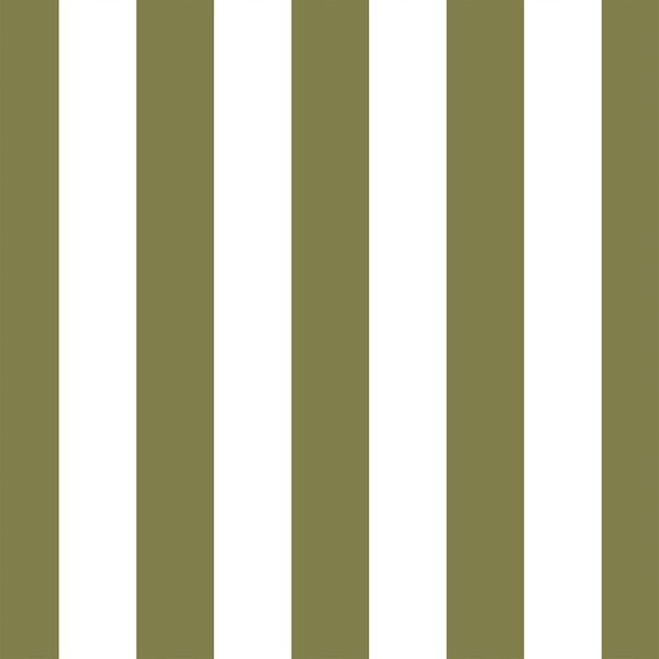 Play Stripe in Jungle