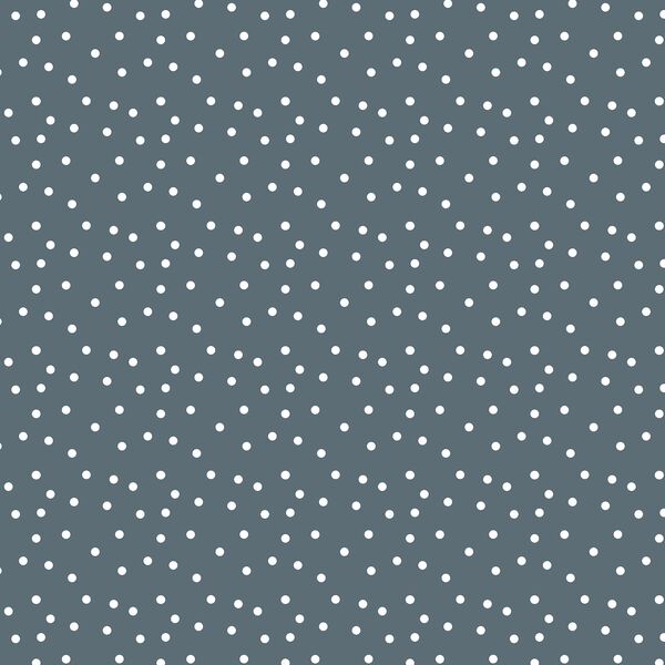 Wander Dots in Slate