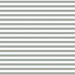 Horizontal Dress Stripe in Sage