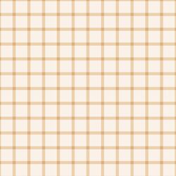 Wild Gingham in Golden Sun