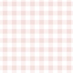Gingham in Blush