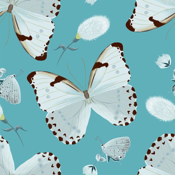 Large Forest Butterflies in Stream