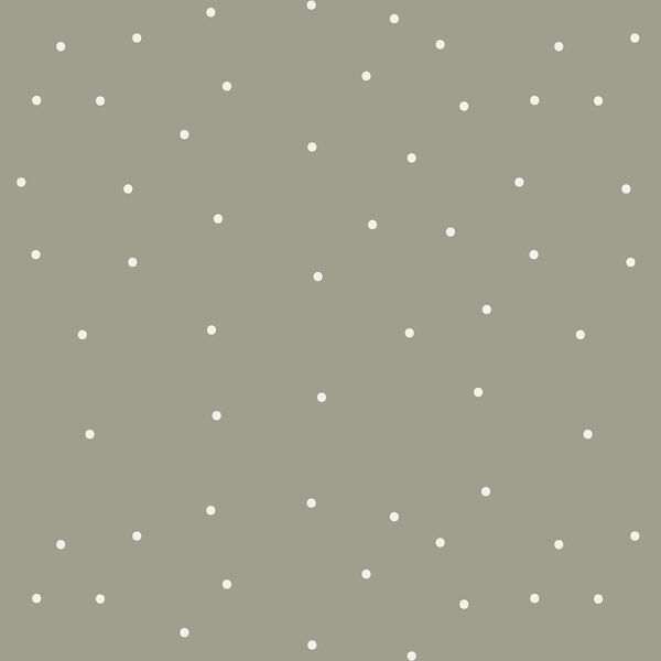 Woodland Dot in Glade