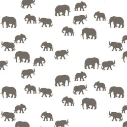 Elephant Silhouette in Stone on White