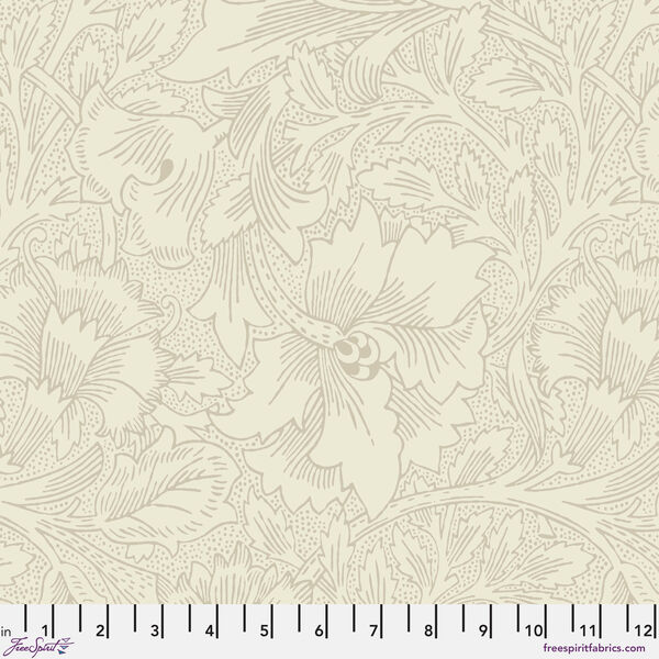Poppy in Cream
