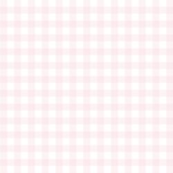Gingham in Soft Pink