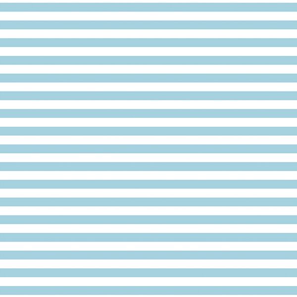 Horizontal Dress Stripe in Robins Egg