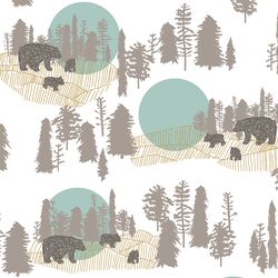 A Walk in the Woods in Aspen and White