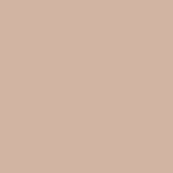 Solid in Cappuccino