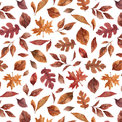 Fall Leaves in White