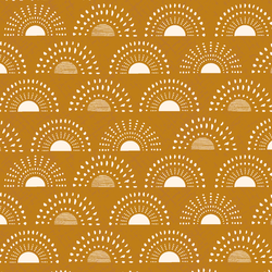 Sunshine in Honeycomb