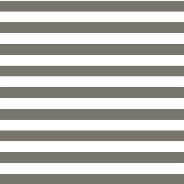 Horizontal Candy Stripe in Greige