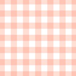 Gingham in Pink Sand