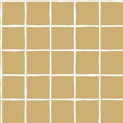 Windowpane in Golden Canyon