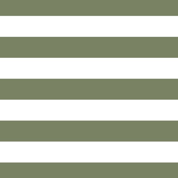 Horizontal Play Stripe in Olive