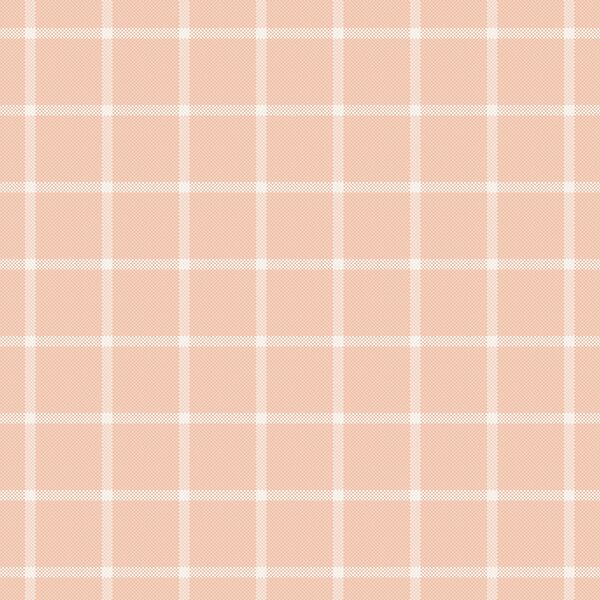 Window Check in Powder Pink