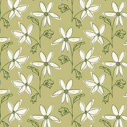 Daisies in Pistache