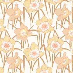 Daffodil Fields in Sweet Feeling