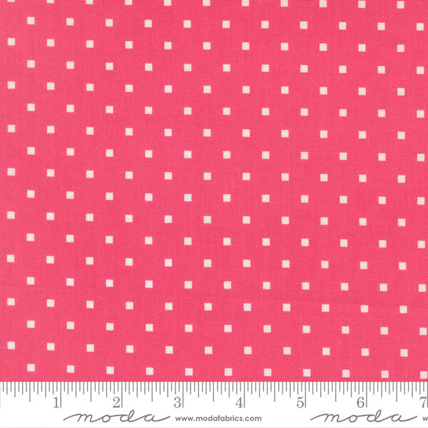Cosmo Dot in Rosie