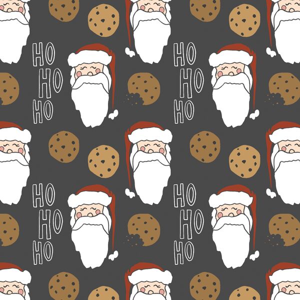 A Cookie For Santa in Present