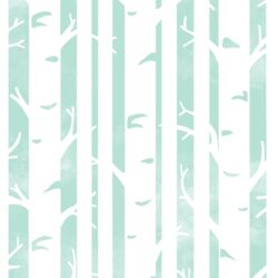 Big Birches in Aloe