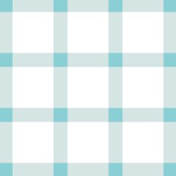 Big Summer Gingham Check in Raindrop