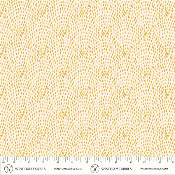 Speckled Scallop in Ivory