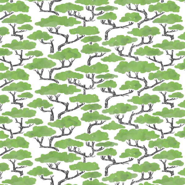 Canopy in Greenery