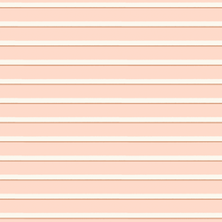 Whimsy Stripe in Pink