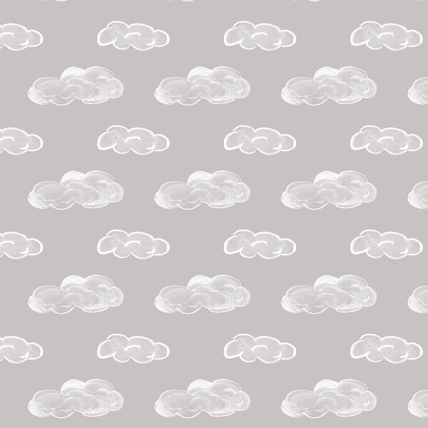 Clouds in Cirrus Gray