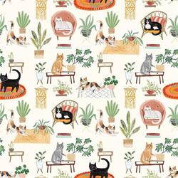 House Cats in Light Cream