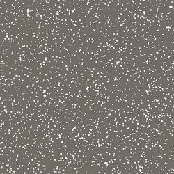 Stardust in Stone