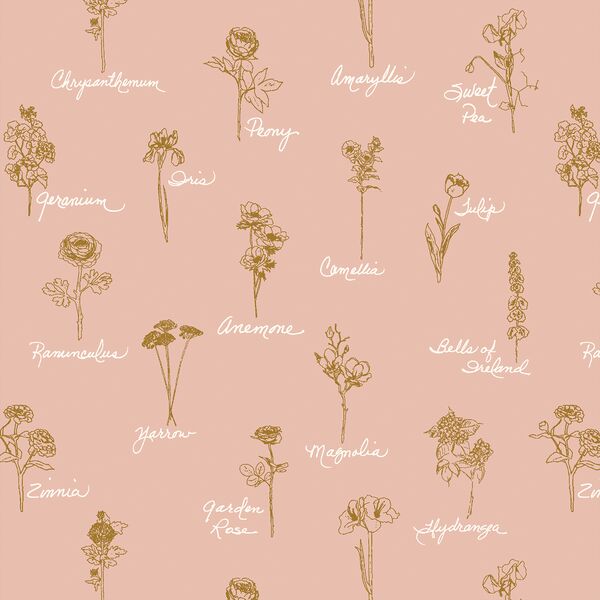 Seasons in Bloom