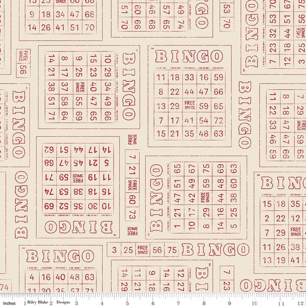 Bingo in Schoolhouse