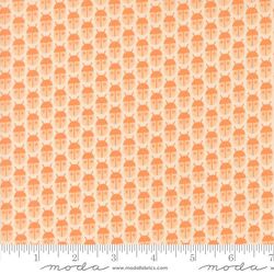 Little Bugs in Peach