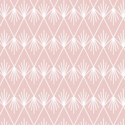 Northern Reflections in Blush