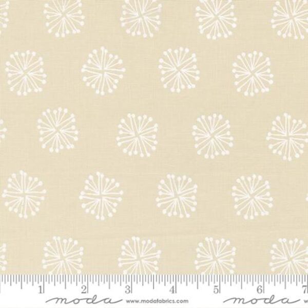 The Big Bang in White on White