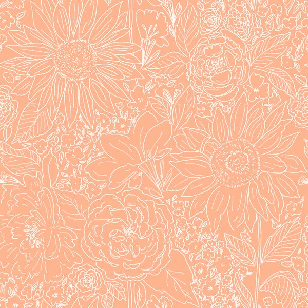 Paperie in Citrus