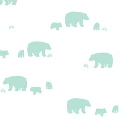 Bear Silhouette in Aloe