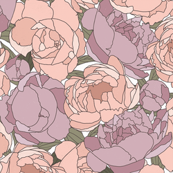 Blooming Peonies in Morning